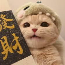 Ảnh đại diện Aryan